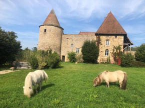 Gîte équestre au cœur du château de Corcelle